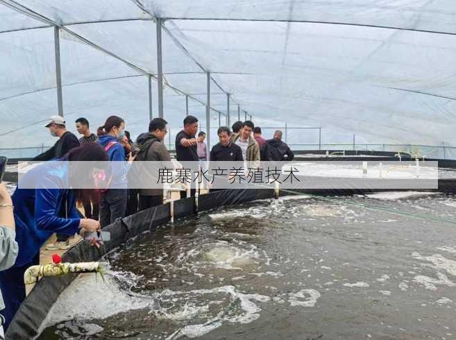 鹿寨水产养殖技术