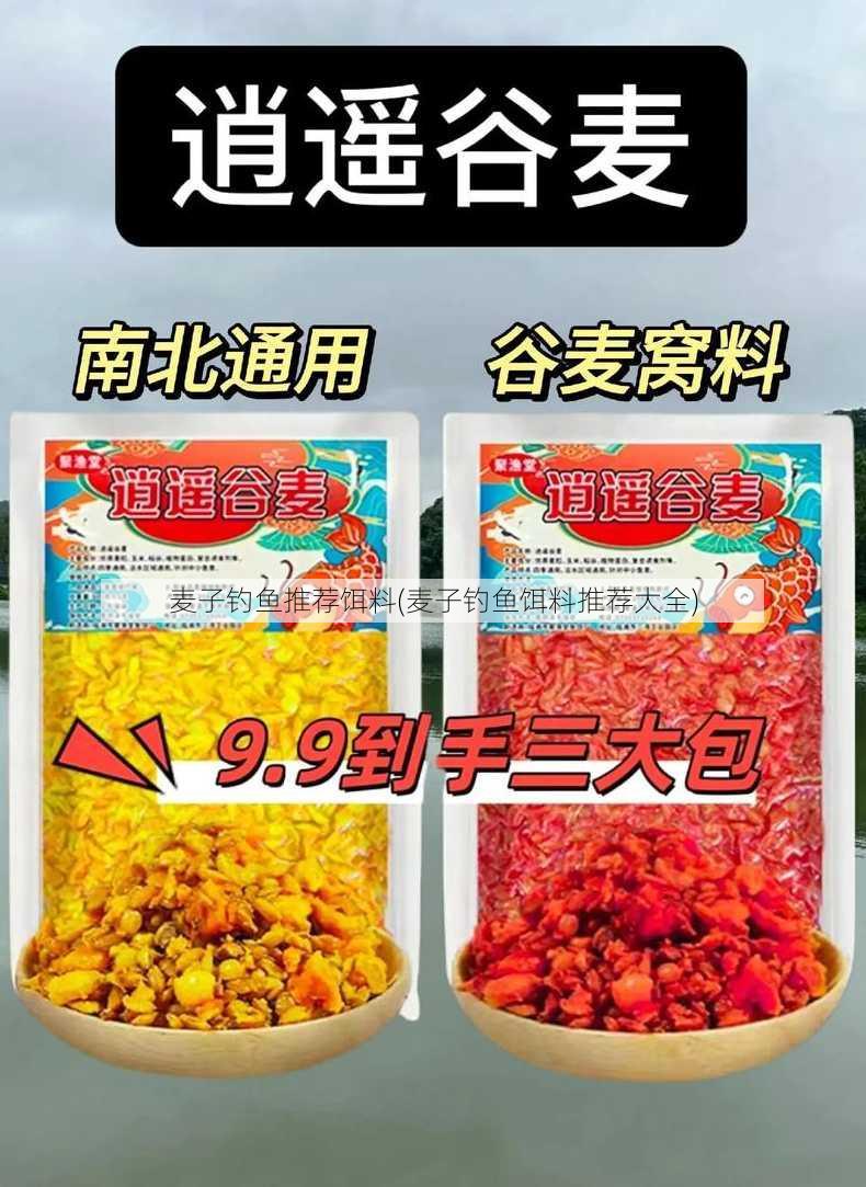 麦子钓鱼推荐饵料(麦子钓鱼饵料推荐大全)