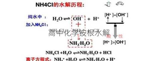 高中化学铵根水解