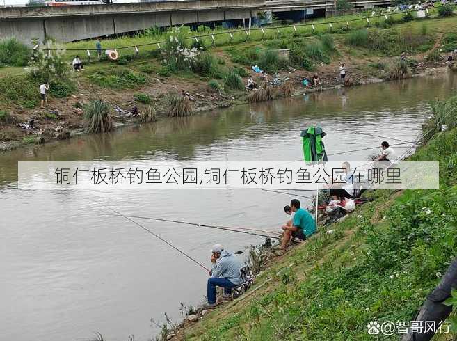 铜仁板桥钓鱼公园,铜仁板桥钓鱼公园在哪里