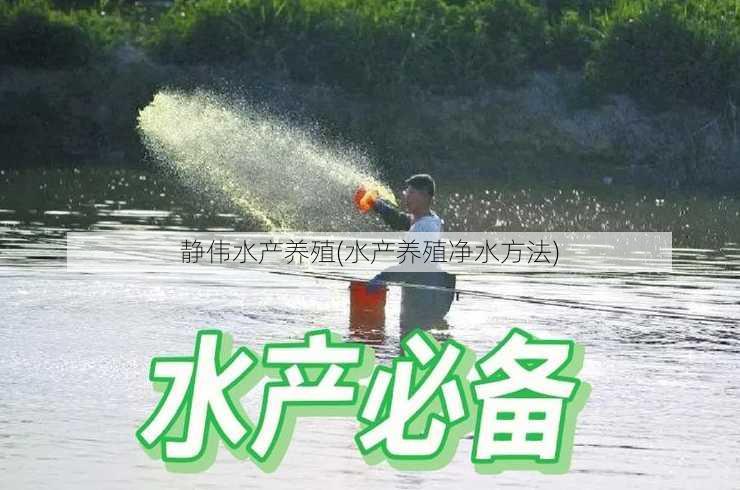 静伟水产养殖(水产养殖净水方法)