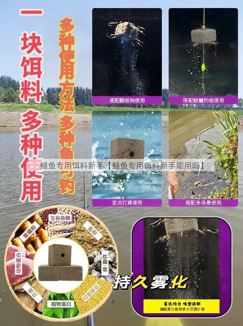 鲢鱼专用饵料新手【鲢鱼专用饵料新手能用吗】