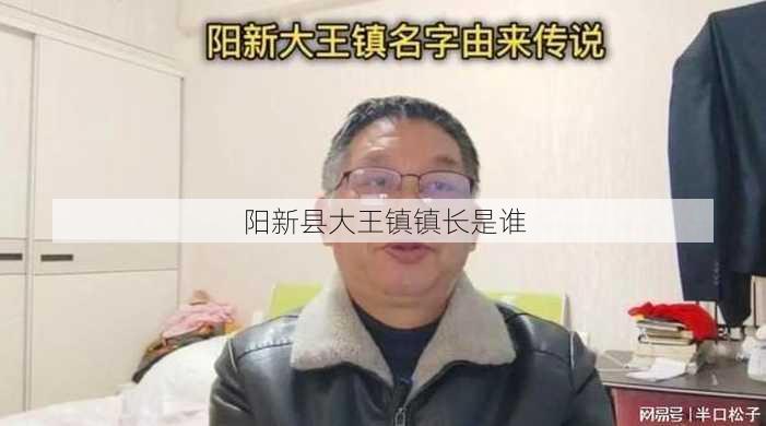 阳新县大王镇镇长是谁