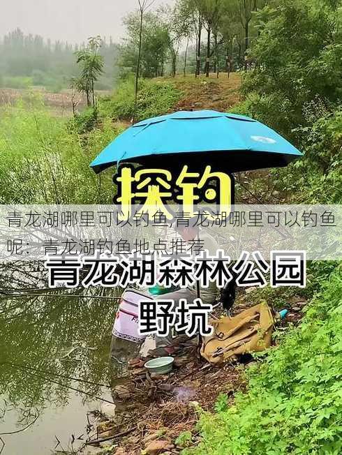 青龙湖哪里可以钓鱼,青龙湖哪里可以钓鱼呢：青龙湖钓鱼地点推荐