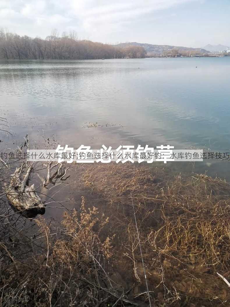 钓鱼选择什么水库最好;钓鱼选择什么水库最好钓：水库钓鱼选择技巧