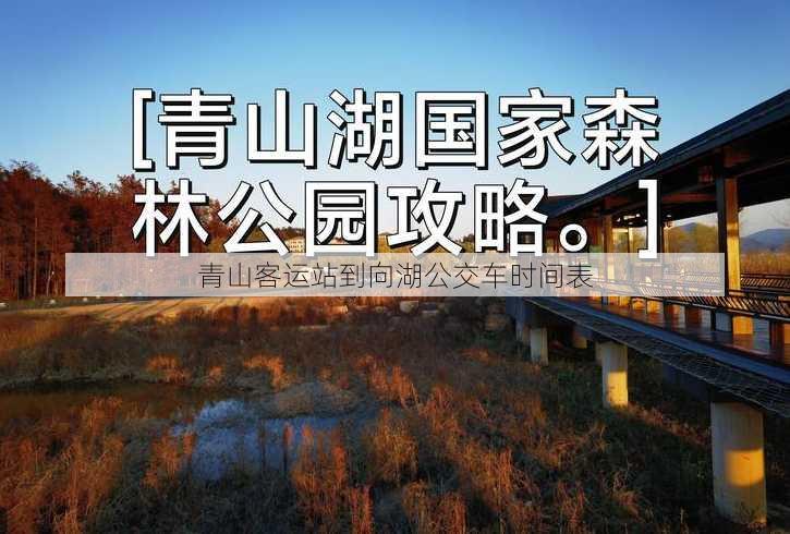 青山客运站到向湖公交车时间表