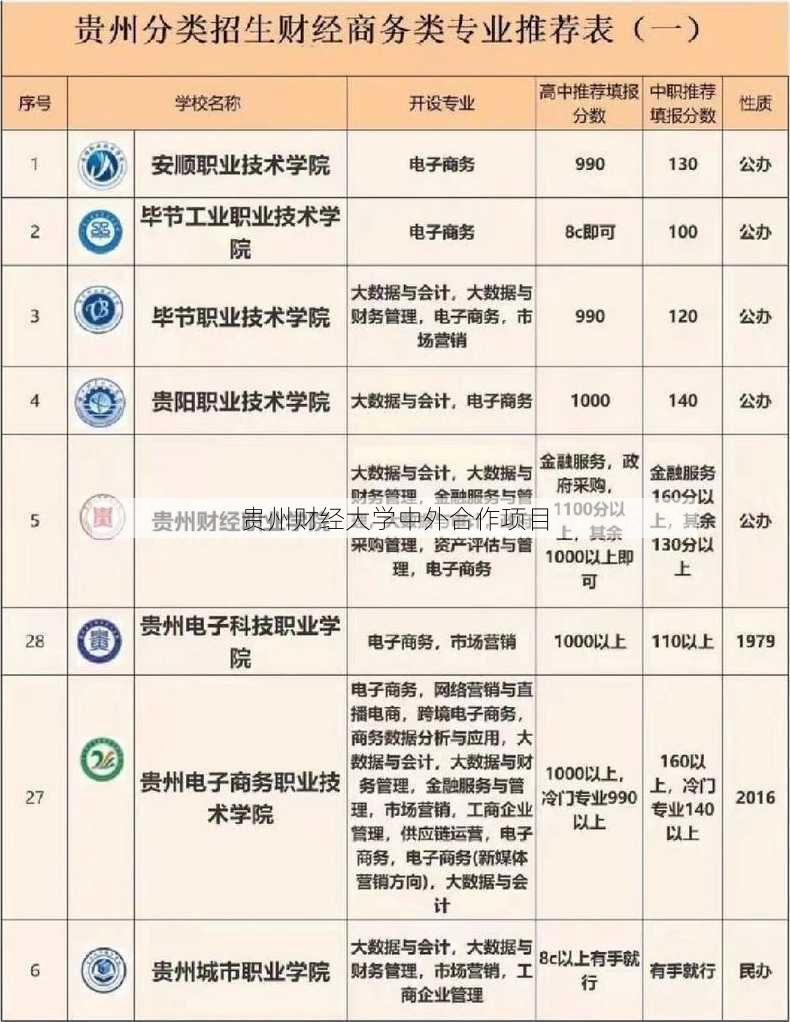 贵州财经大学中外合作项目