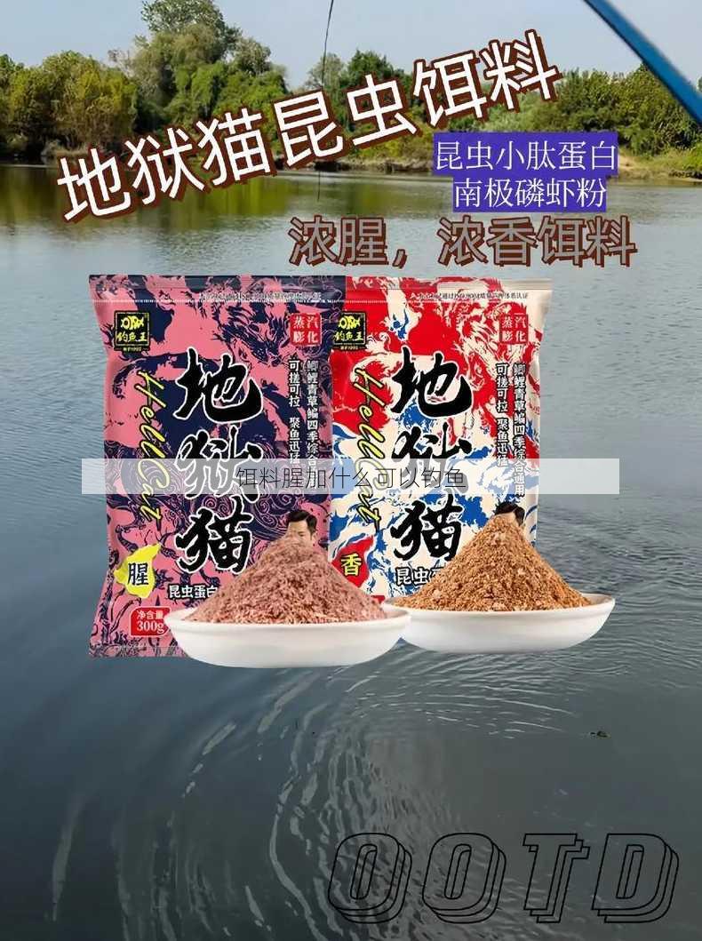 饵料腥加什么可以钓鱼