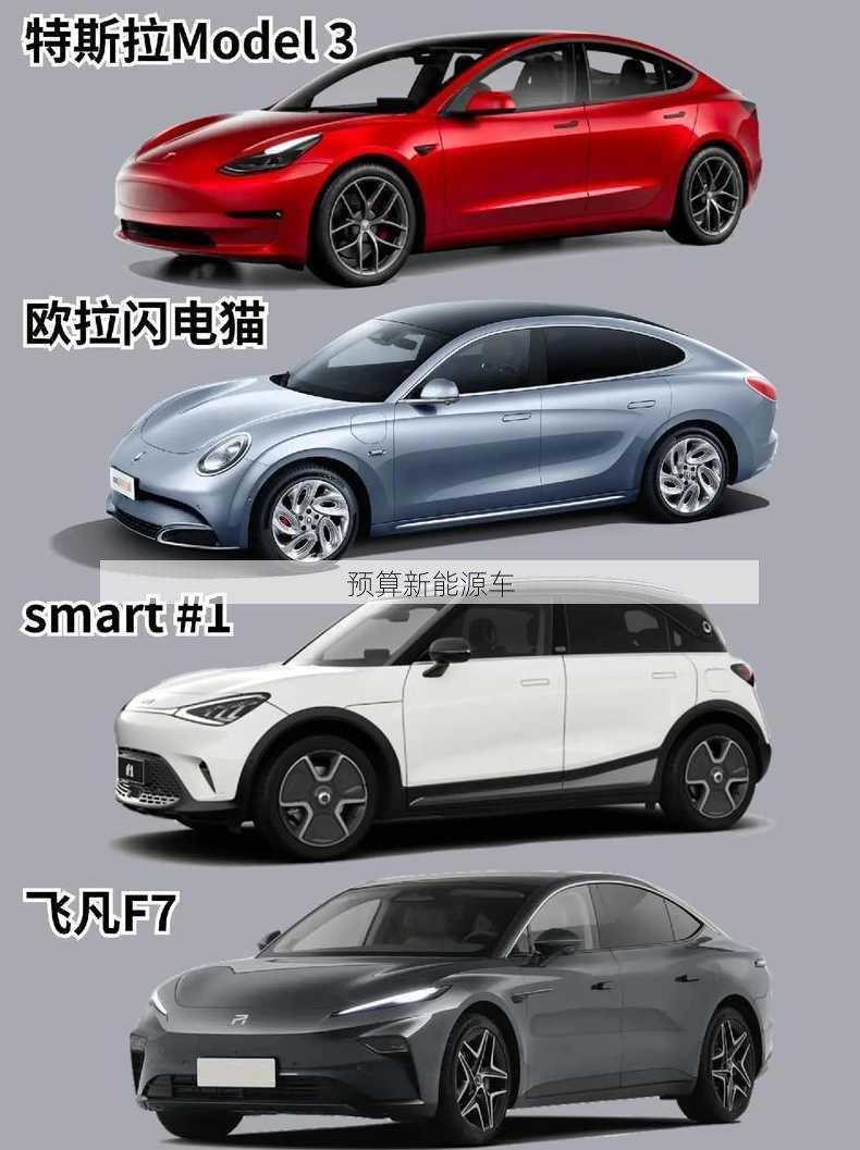 预算新能源车