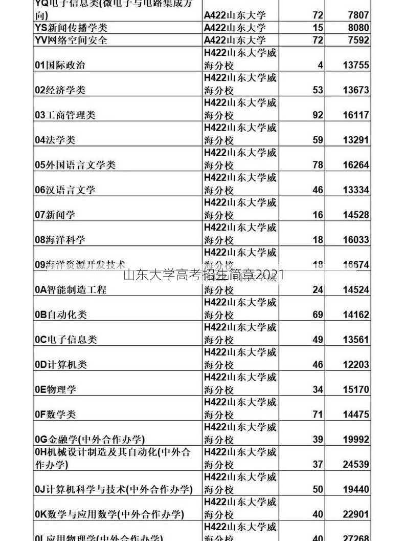 山东大学高考招生简章2021