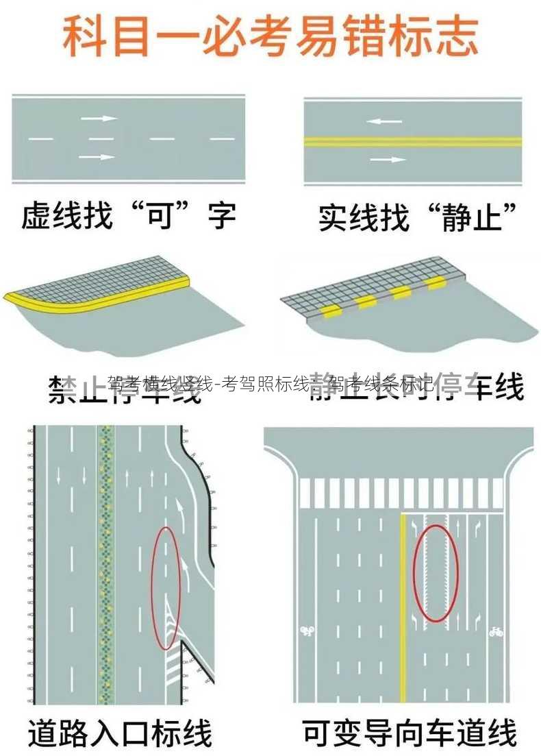 驾考横线竖线-考驾照标线：驾考线条标记