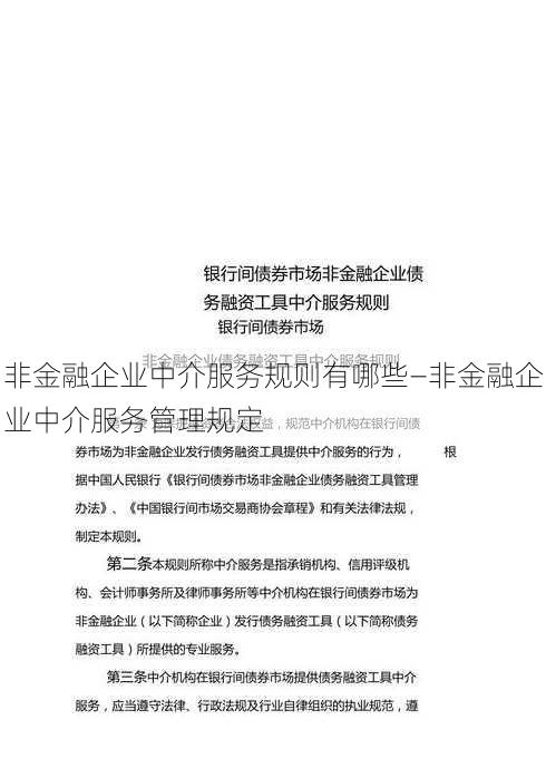 非金融企业中介服务规则有哪些—非金融企业中介服务管理规定