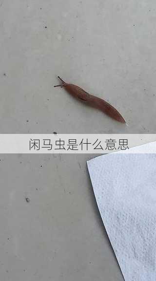 闲马虫是什么意思