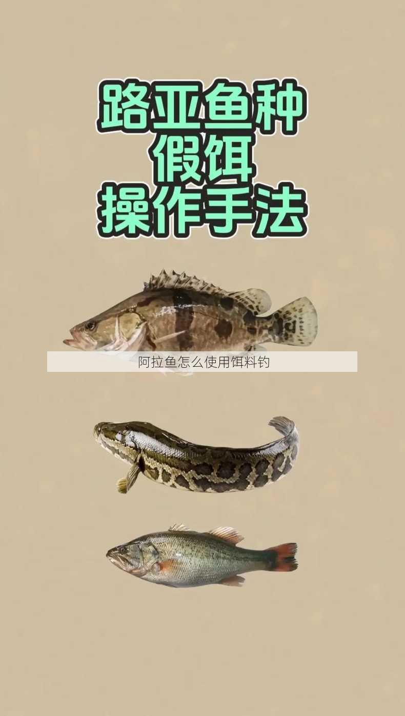 阿拉鱼怎么使用饵料钓