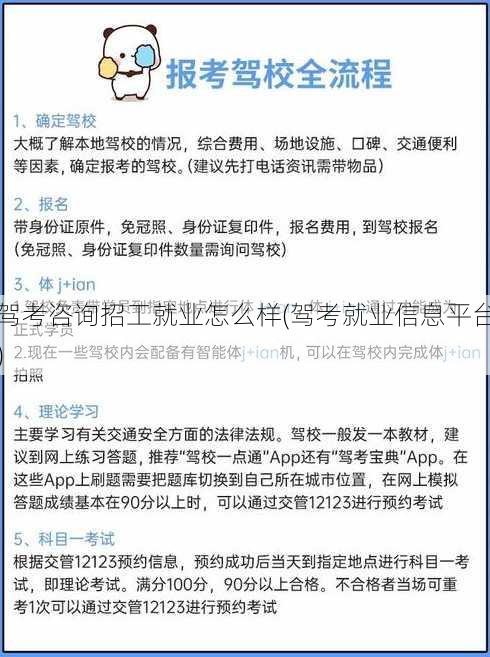 驾考咨询招工就业怎么样(驾考就业信息平台)