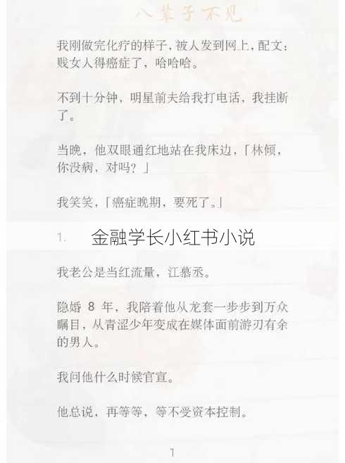 金融学长小红书小说