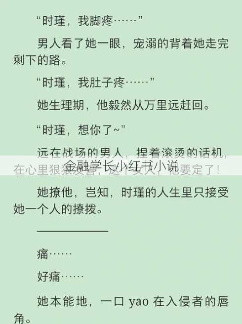 金融学长小红书小说