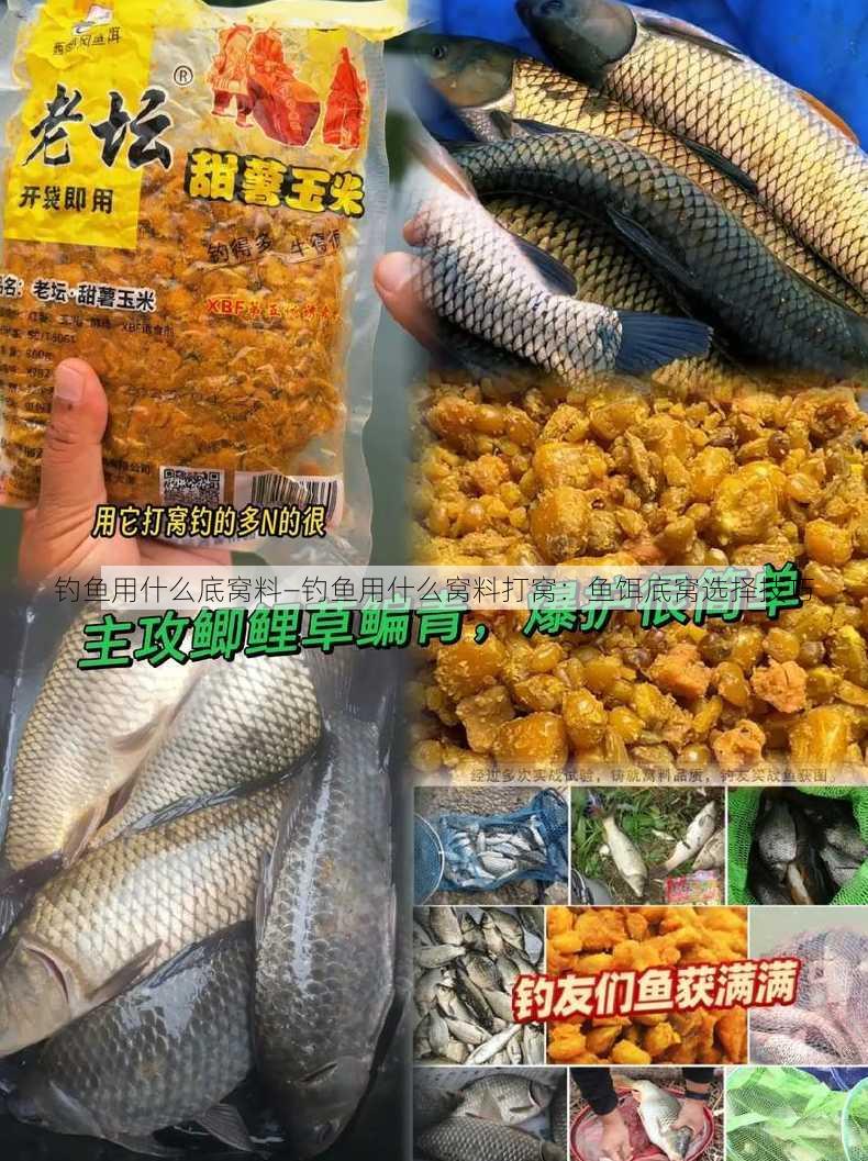 钓鱼用什么底窝料—钓鱼用什么窝料打窝：鱼饵底窝选择技巧