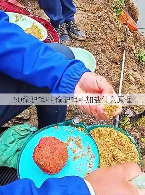 50偷驴饵料,偷驴饵料加盐什么原理