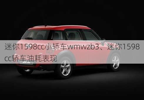 迷你1598cc小轿车wmwzb3、迷你1598cc轿车油耗表现