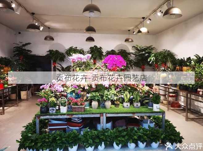 贡布花卉-贡布花卉园艺店