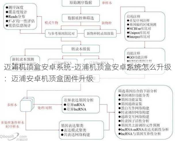 迈浦机顶盒安卓系统-迈浦机顶盒安卓系统怎么升级：迈浦安卓机顶盒固件升级