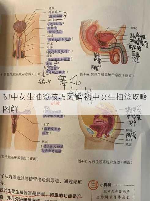 初中女生抽签技巧图解 初中女生抽签攻略图解