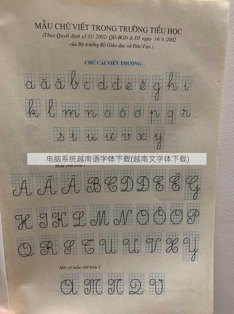 电脑系统越南语字体下载(越南文字体下载)