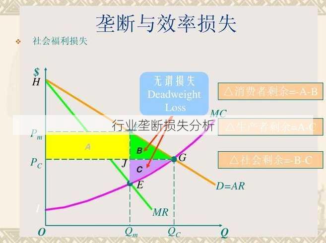 行业垄断损失分析