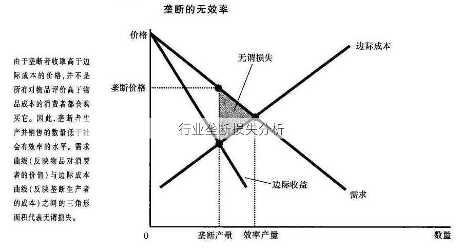 行业垄断损失分析