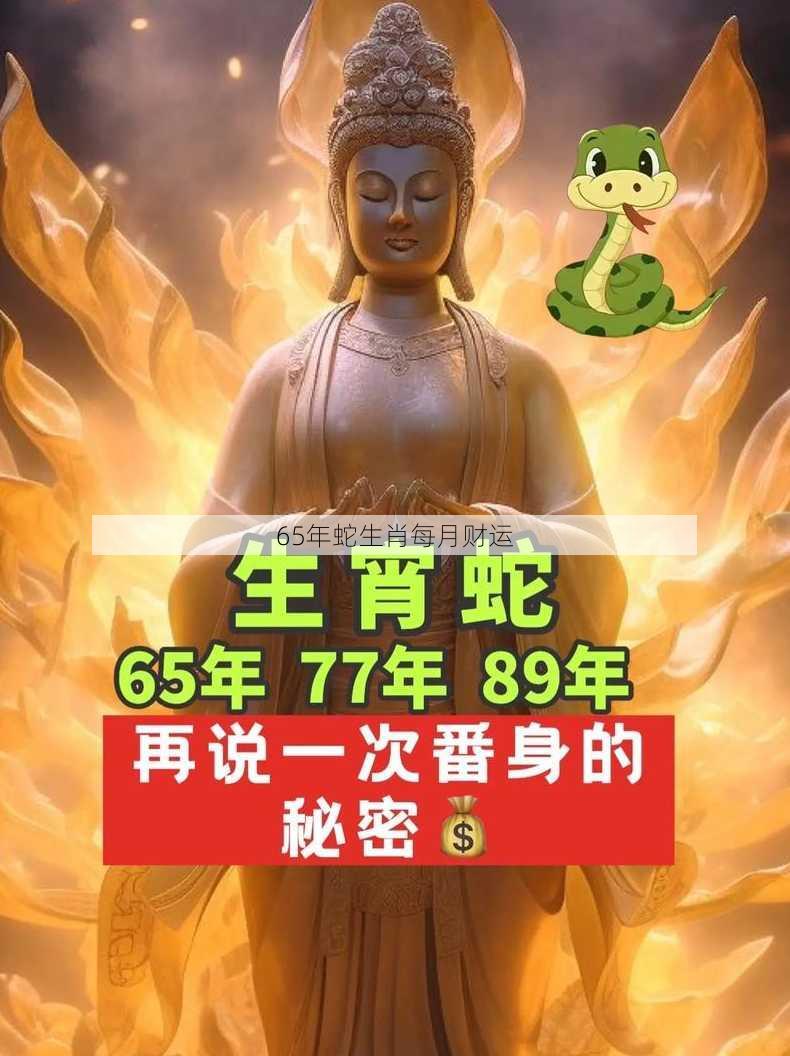 65年蛇生肖每月财运