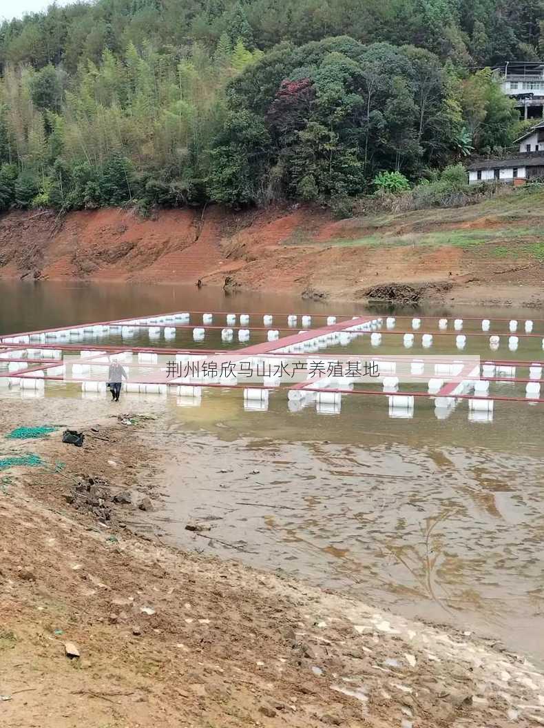 荆州锦欣马山水产养殖基地