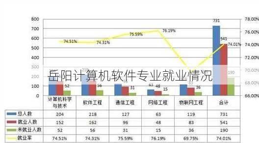 岳阳计算机软件专业就业情况