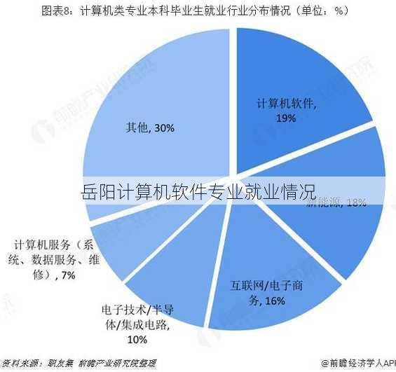 岳阳计算机软件专业就业情况