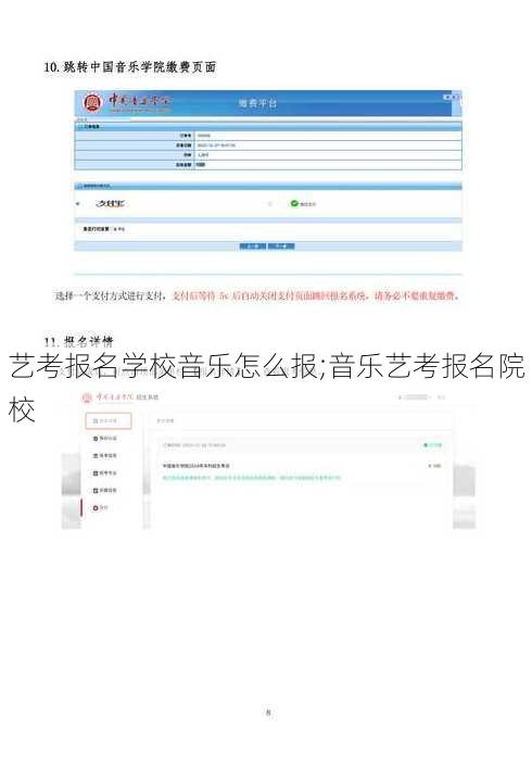 艺考报名学校音乐怎么报;音乐艺考报名院校