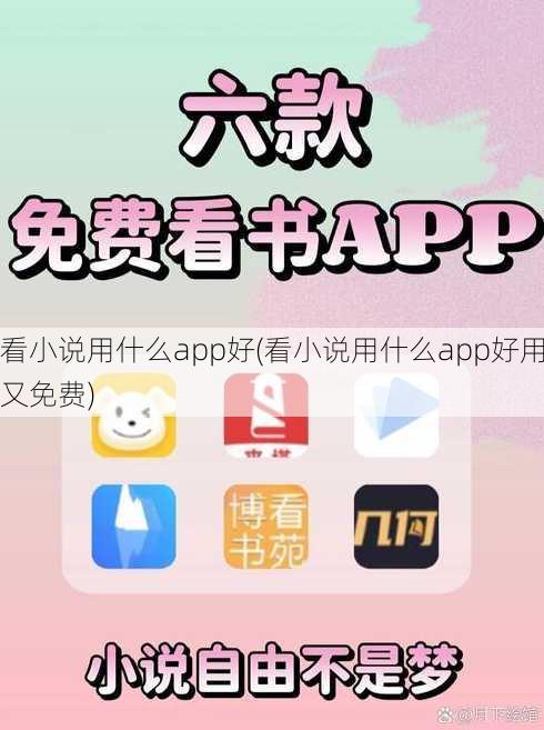 看小说用什么app好(看小说用什么app好用又免费)