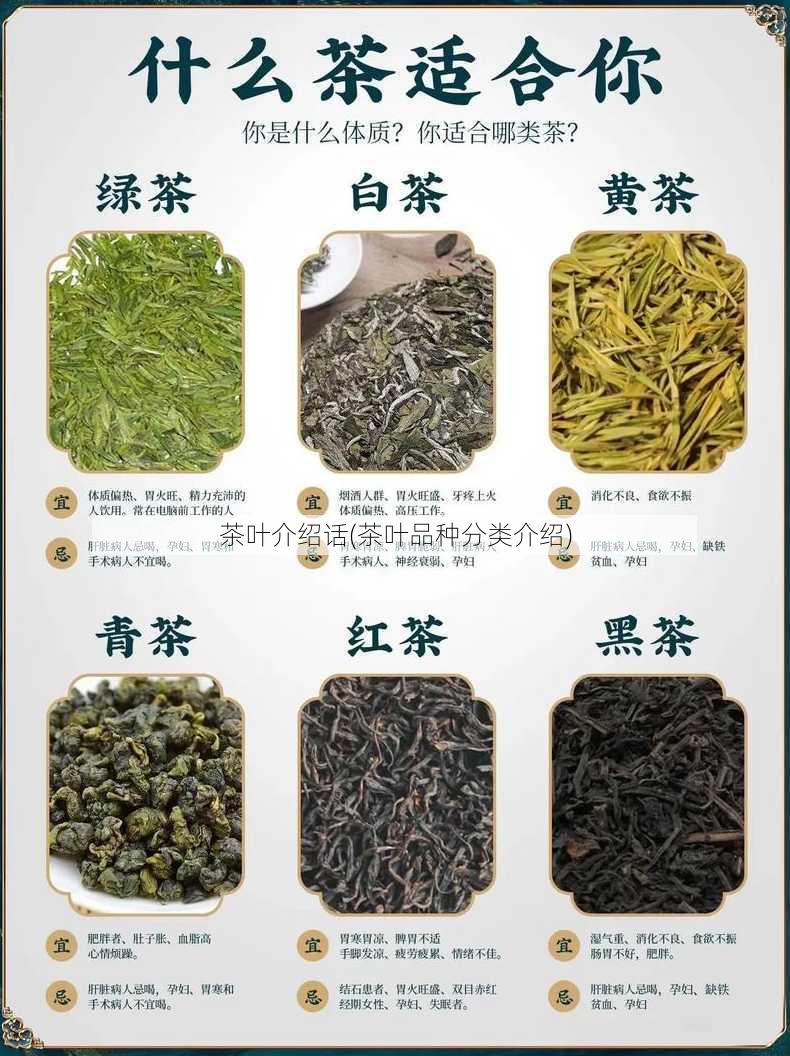 茶叶介绍话(茶叶品种分类介绍)