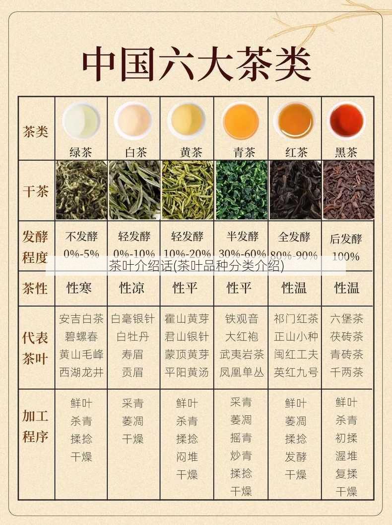 茶叶介绍话(茶叶品种分类介绍)