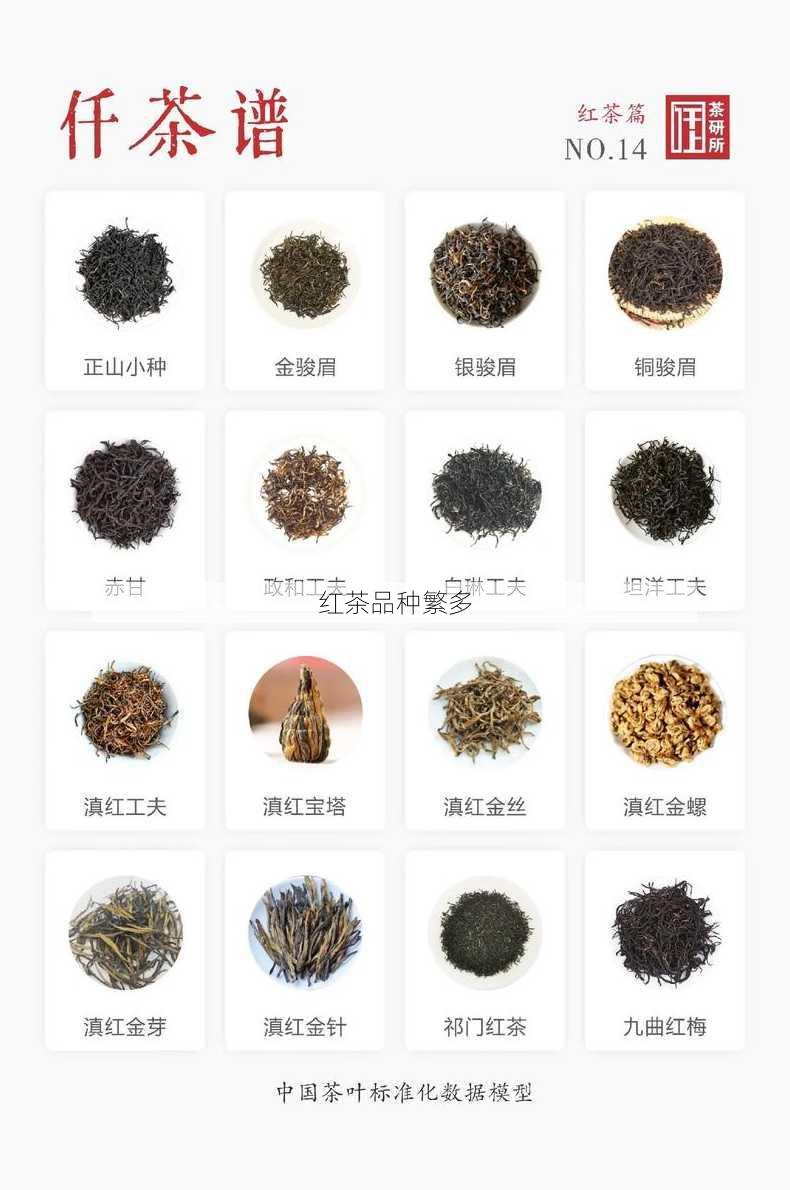 红茶品种繁多