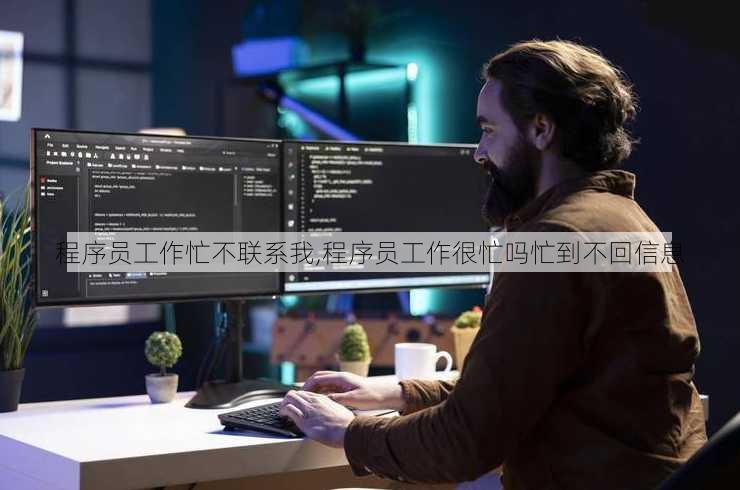 程序员工作忙不联系我,程序员工作很忙吗忙到不回信息