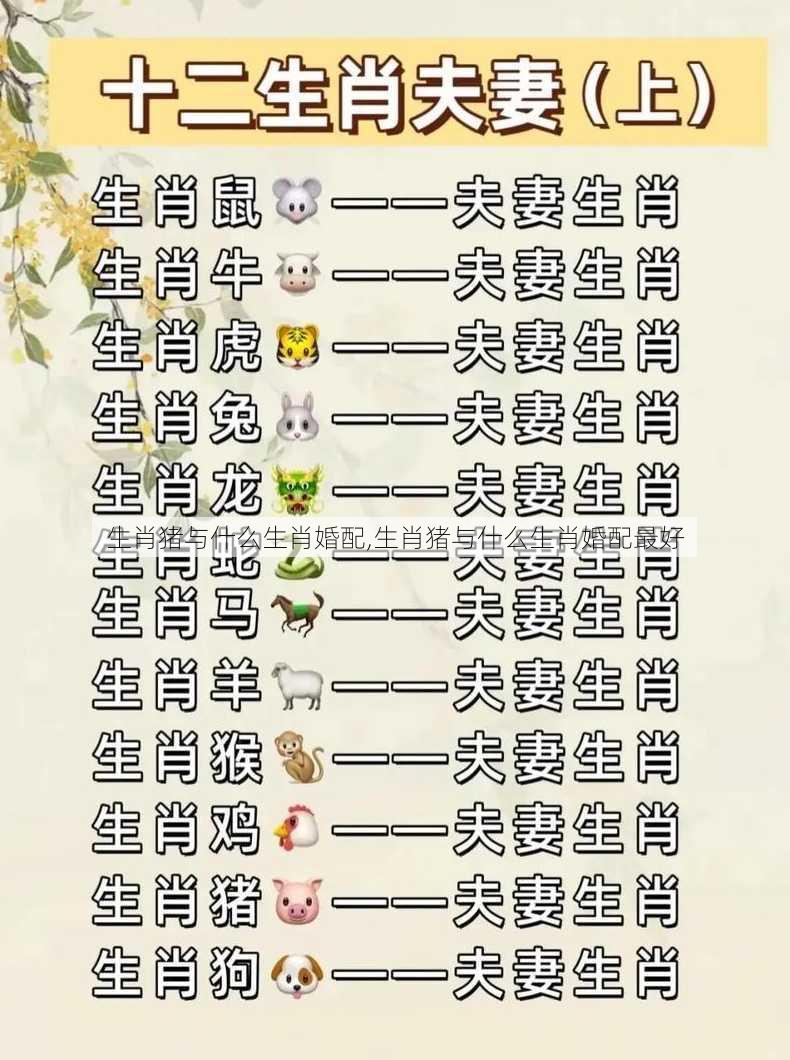 生肖猪与什么生肖婚配,生肖猪与什么生肖婚配最好