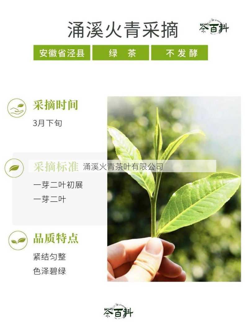 涌溪火青茶叶有限公司