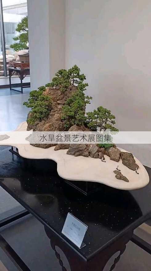 水旱盆景艺术展图集