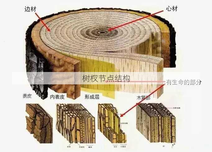 树杈节点结构