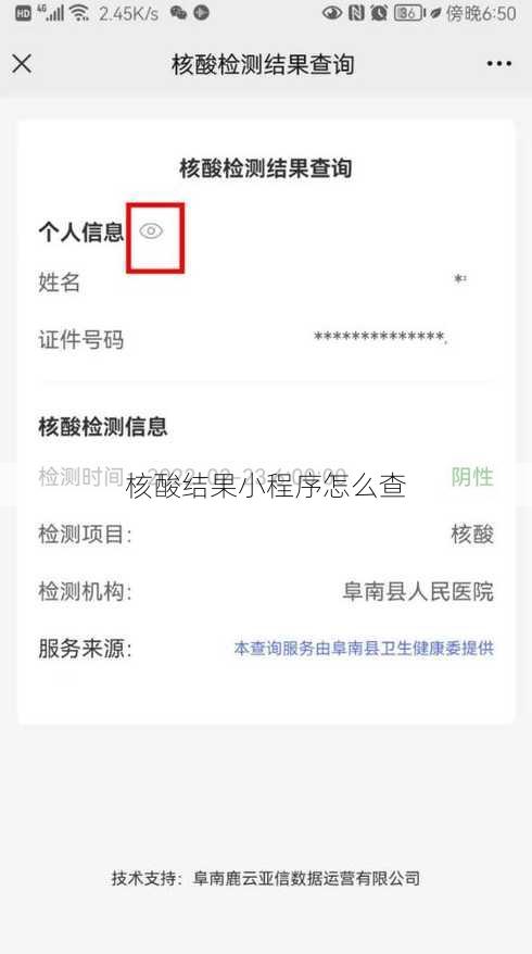 核酸结果小程序怎么查