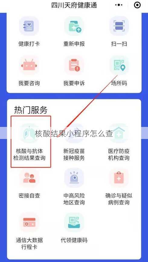 核酸结果小程序怎么查