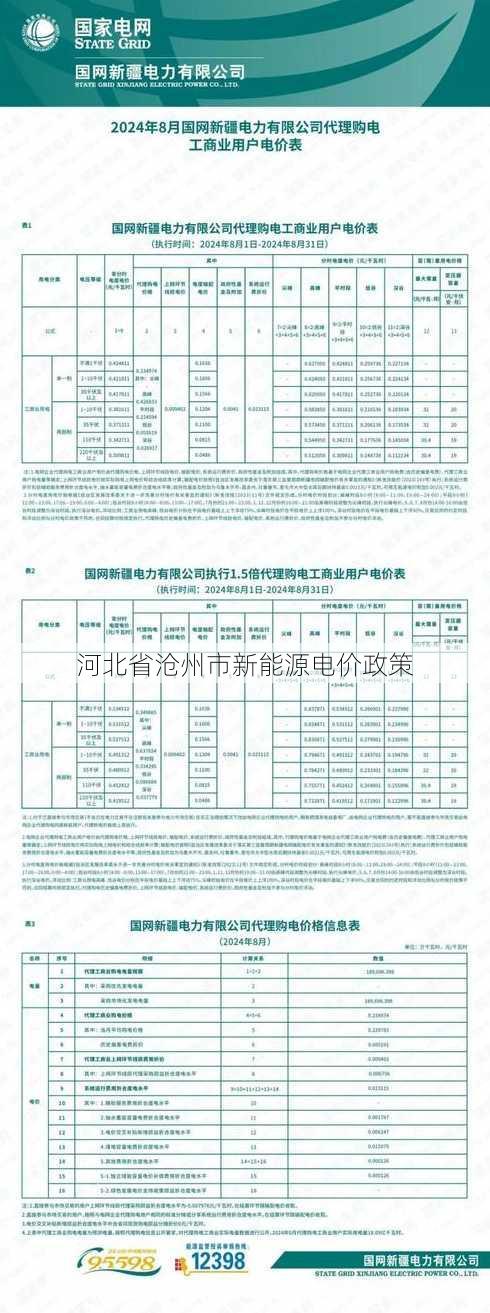 河北省沧州市新能源电价政策