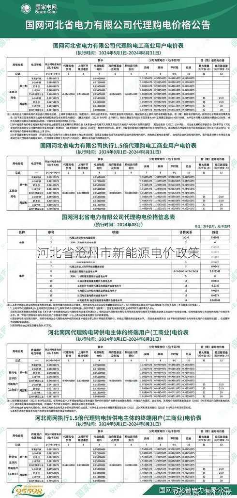 河北省沧州市新能源电价政策