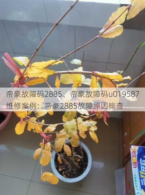 帝豪故障码2885、帝豪故障码u019587维修案例：帝豪2885故障原因排查