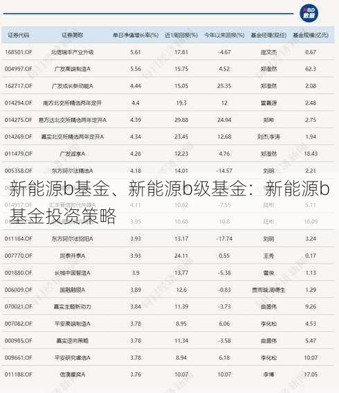 新能源b基金、新能源b级基金：新能源b基金投资策略